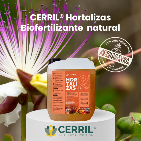 CERRIL Hortalizas